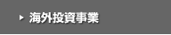 海外投資事業