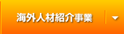 海外人材紹介事業