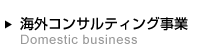 海外コンサルティング事業