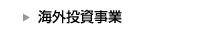 海外投資事業